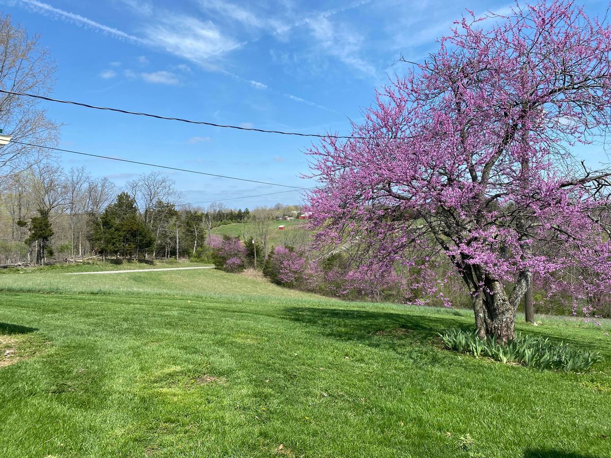 317 Short Road, Salvisa, KY 40372 — primary photo