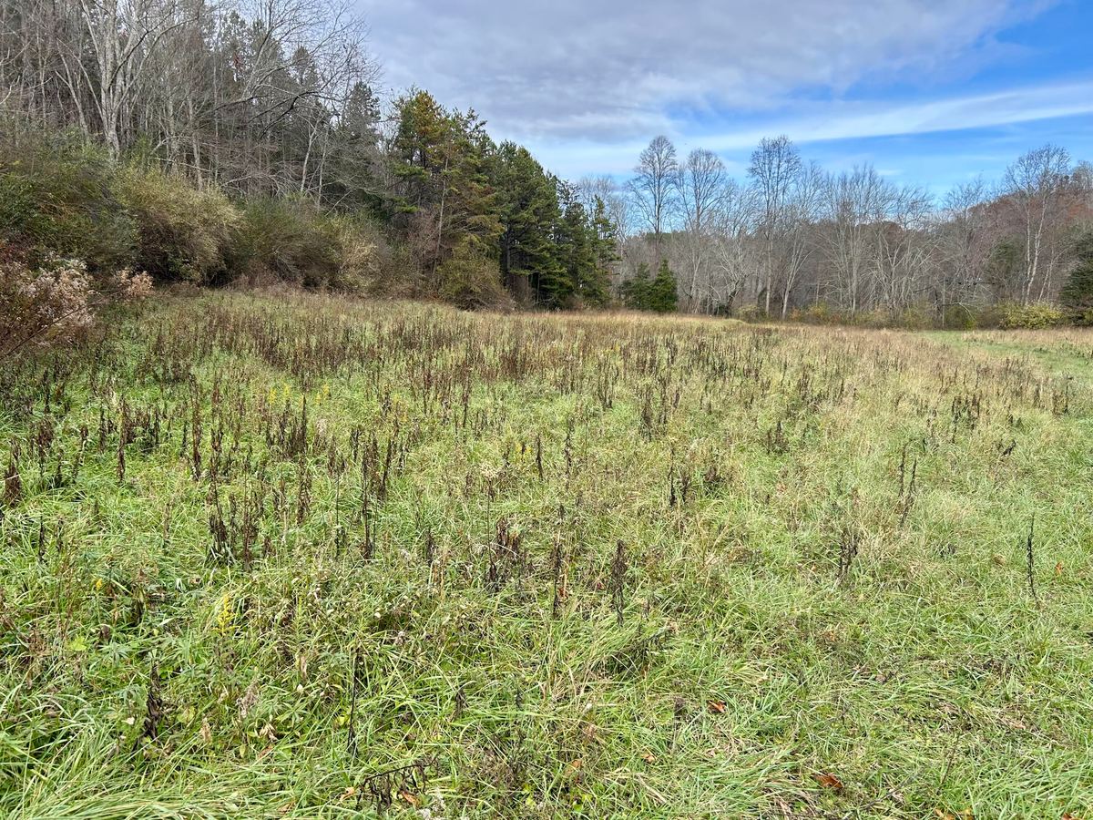 319 Highway 472 Highway, Manchester, KY 40962 — primary photo