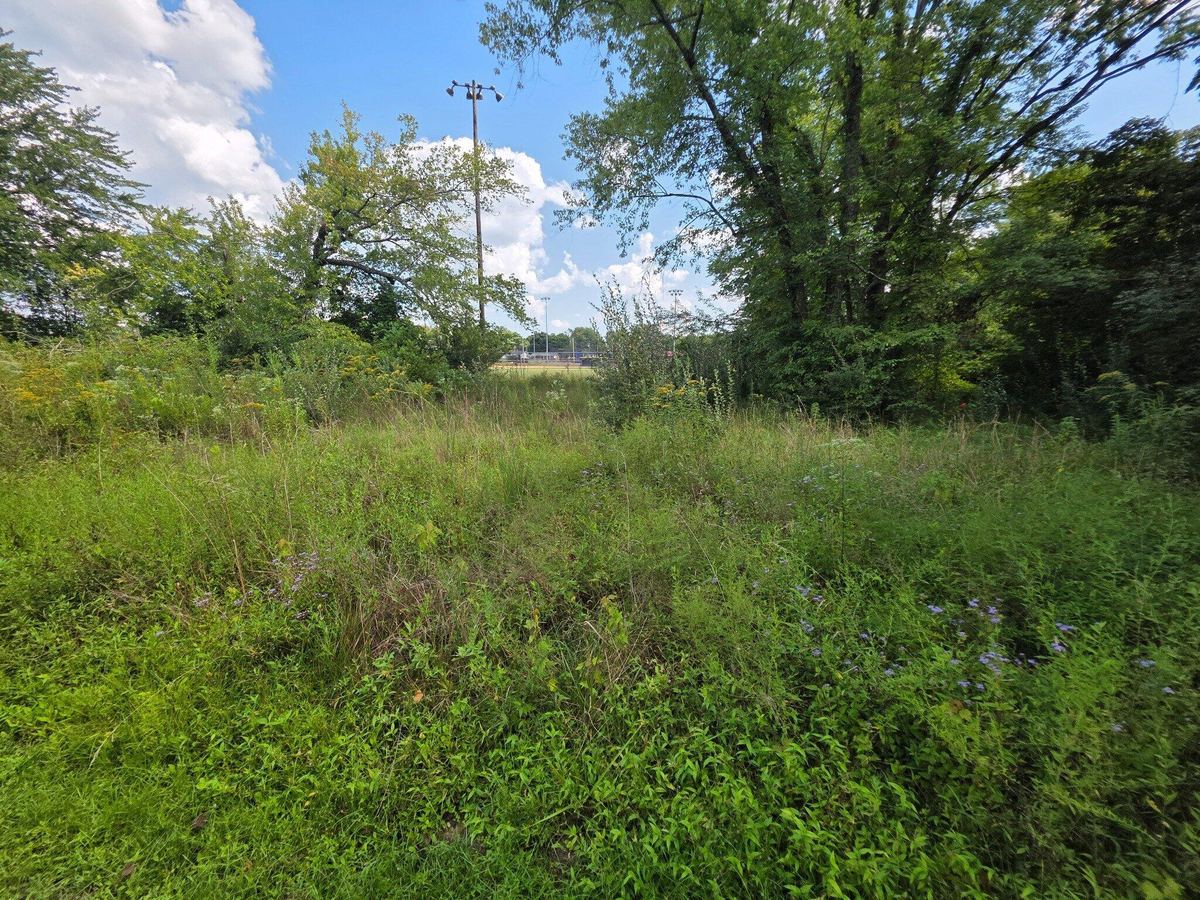 127 Clayton Road, Jamestown, KY 42629 — primary photo
