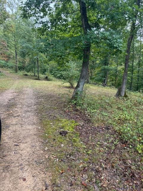 15709 Trace Road, Rush, KY 41168 — photo 3