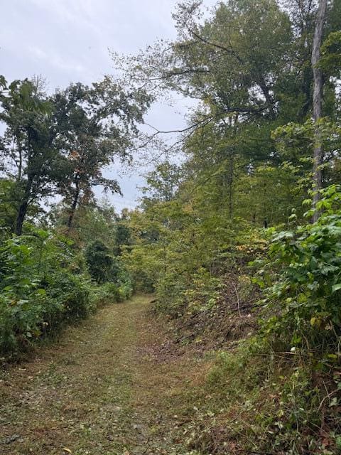 15709 Trace Road, Rush, KY 41168 — photo 4