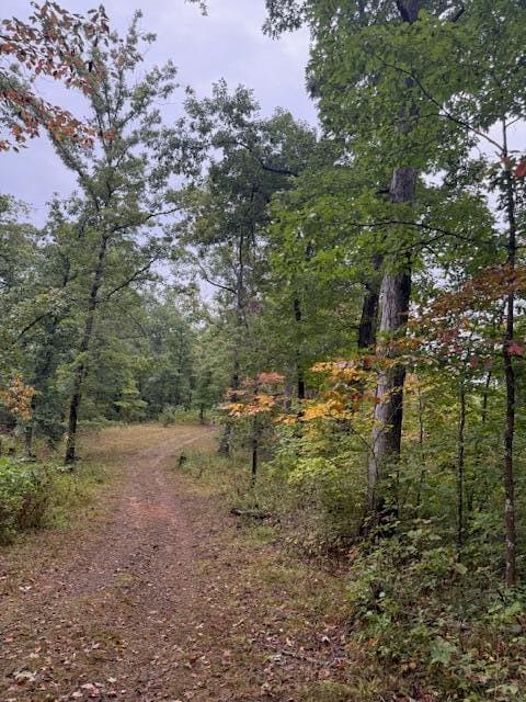 15709 Trace Road, Rush, KY 41168 — photo 5