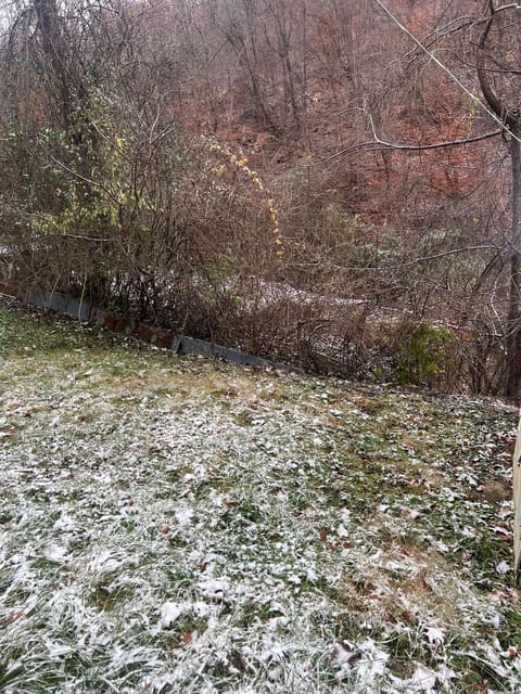 821 Runnells Branch Road, Hindman, KY 41822 — photo 2