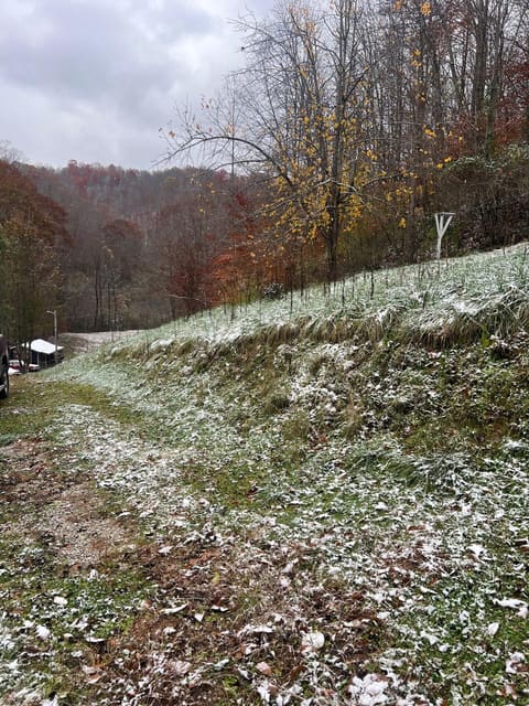 821 Runnells Branch Road, Hindman, KY 41822 — photo 4