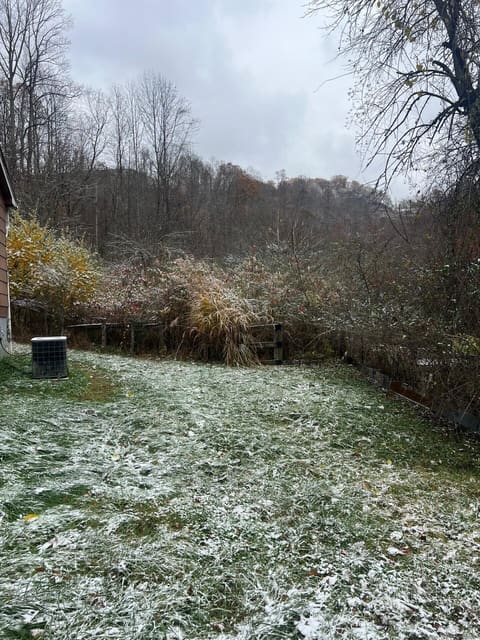 821 Runnells Branch Road, Hindman, KY 41822 — photo 5