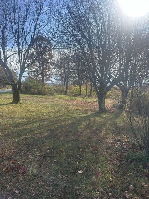 1325 Weaver Ridge Road, Morehead, KY 40351 — photo 4