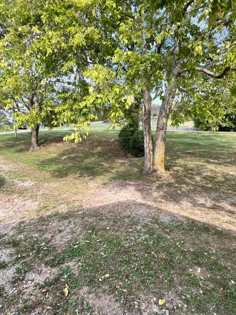 4016 Berea Road, Richmond, KY 40475 — photo 3