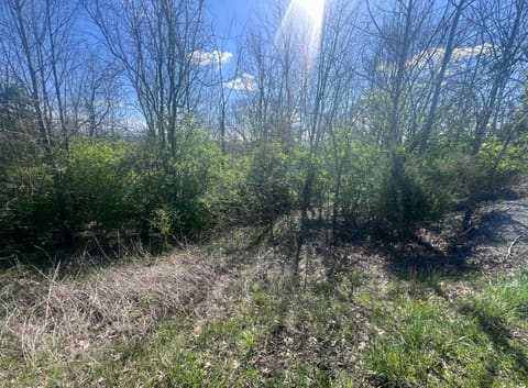 0 Tom Hackley Road, Stanford, KY 40484 — photo 2