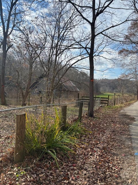 2647 Taylor School Road, London, KY 40741 — photo 4