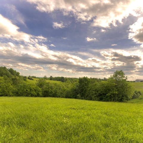 1580 Sardis Road Sardis Road, Mount Olivet, KY 41064 — photo 3