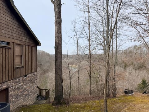 176 The Village Drive, Nancy, KY 42544 — photo 3