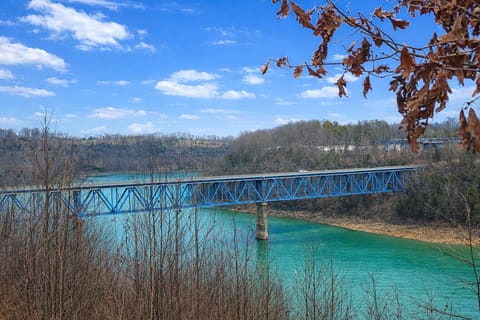 81 Lee's Ford Dock Road 4, Nancy, KY 42544 — photo 5