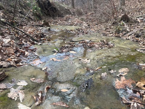 1470 Hopkins Fork, Pikeville, KY 41501 — photo 2