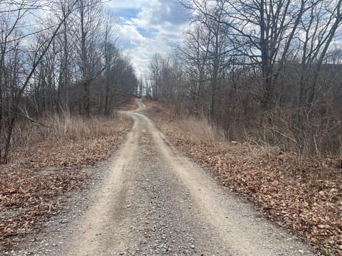 1470 Hopkins Fork, Pikeville, KY 41501 — photo 3