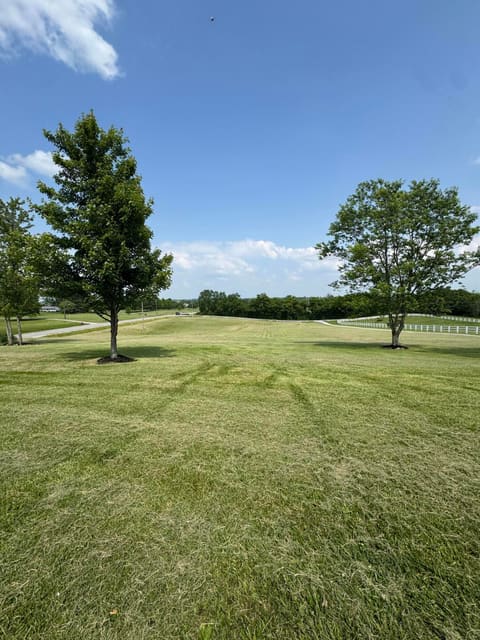 41 Tuggle Road, Danville, KY 40422 — photo 2