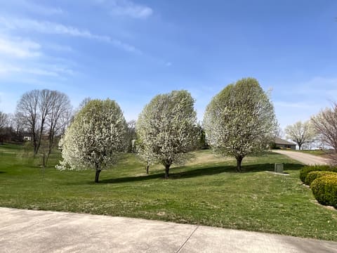 415 Splendor View Drive, Somerset, KY 42503 — photo 4