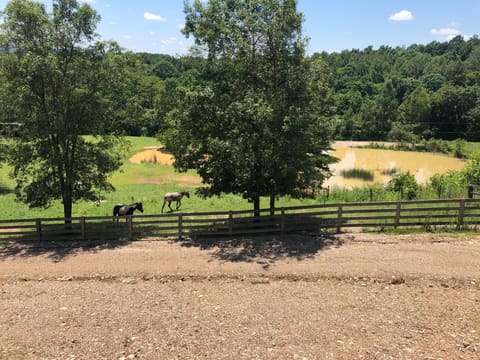 422 Kirk Lane, Tollesboro, KY 41189 — photo 3