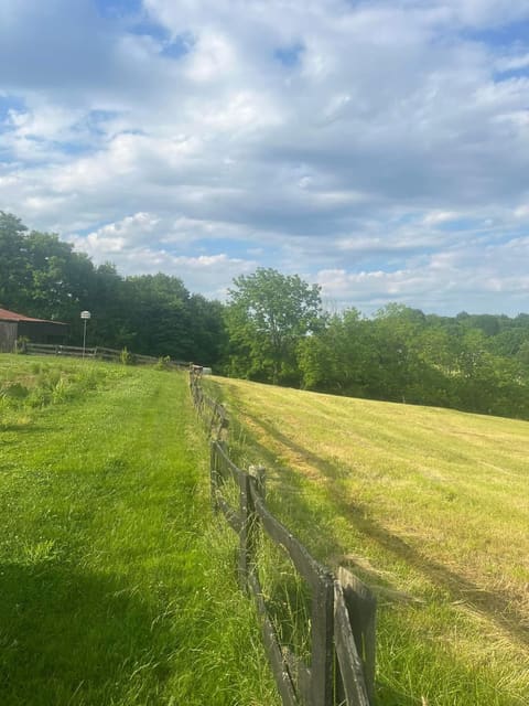 8377 Stonelick Road, Maysville, KY 41056 — photo 3