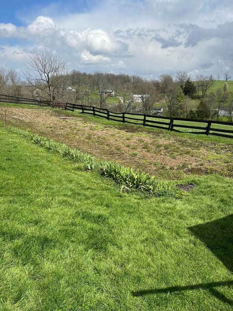 8377 Stonelick Road, Maysville, KY 41056 — photo 4
