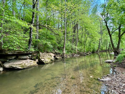 1571 Kit Cowan Road, Somerset, KY 42501 — photo 2