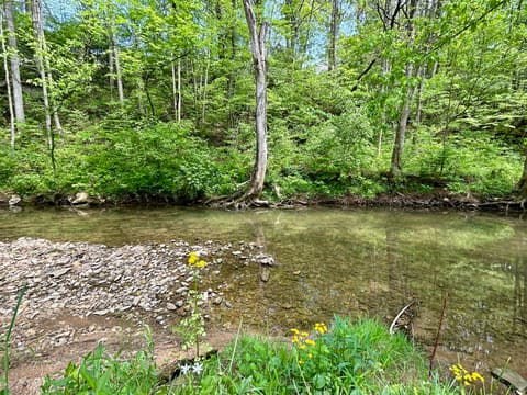 1571 Kit Cowan Road, Somerset, KY 42501 — photo 4