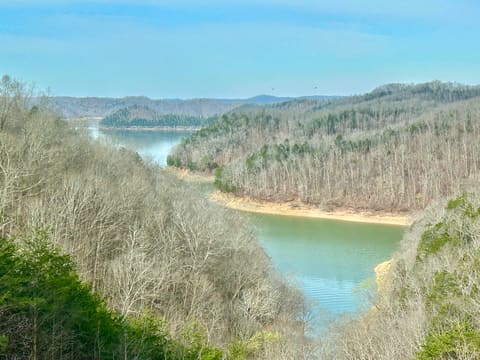 1166 Sandstone Point Trail, Monticello, KY 42633 — photo 4
