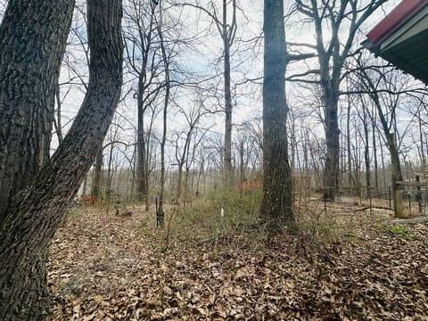2205 Old Salem Road, London, KY 40741 — photo 3