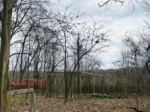 2205 Old Salem Road, London, KY 40741 — photo 4