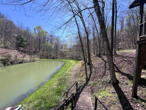 14 Clear Creek Road, Pine Knot, KY 42635 — photo 2