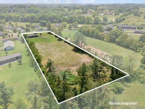 386 b Boggs Road, London, KY 40744 — photo 3