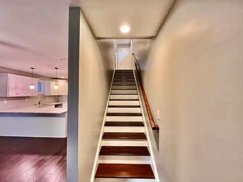 241 Devonia Avenue, Lexington, KY 40505 — photo 3
