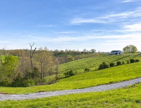 1580 Sardis Road Sardis Road, Mount Olivet, KY 41064 — photo 4