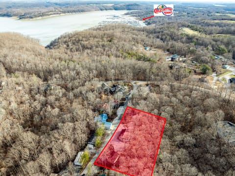 81 White Oak Lane, Monticello, KY 42633 — photo 3