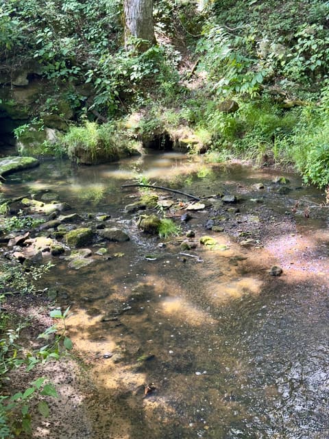 7120 N Hwy 127, Albany, KY 42602 — photo 4