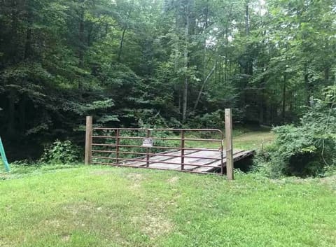 3252 Scotts Branch Road, Vanceburg, KY 41179 — photo 5