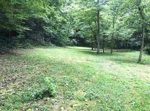 3252 Scotts Branch Road, Vanceburg, KY 41179 — photo 4