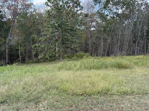 188 Strawberry Lane, Olive Hill, KY 41164 — photo 5