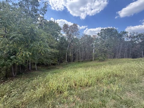 208 Strawberry Lane, Olive Hill, KY 41164 — photo 4