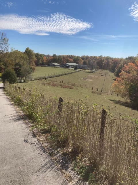 1461 Greasy Ridge Road, Stanford, KY 40484 — photo 2