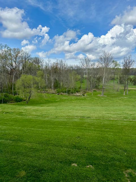 7120 N Hwy 127, Albany, KY 42602 — photo 2