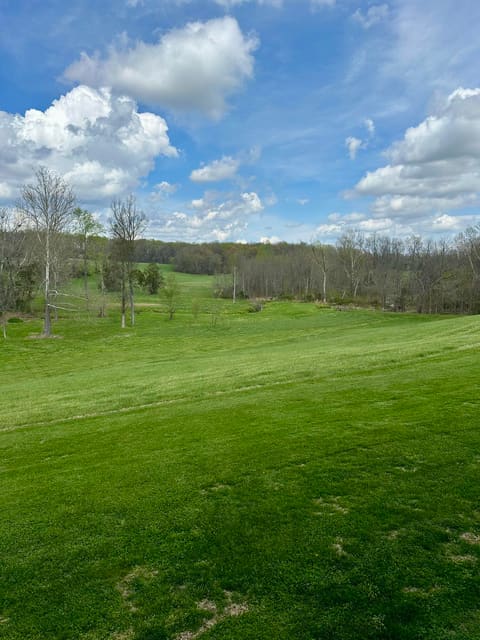 7120 N Hwy 127, Albany, KY 42602 — photo 3