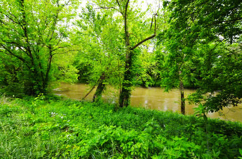 73 Butter Point Road, Jackson, KY 41339 — photo 3