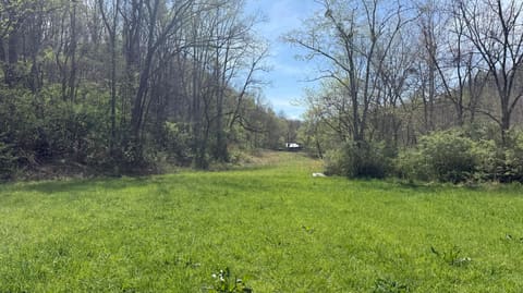 3230 Scaffold Cane Road, Berea, KY 40403 — photo 4