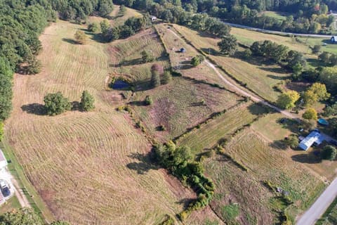 190 & 166 Pine Grove Road, Olympia, KY 40358 — photo 3
