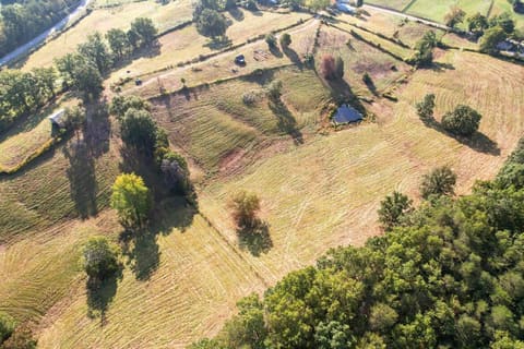 190 & 166 Pine Grove Road, Olympia, KY 40358 — photo 4