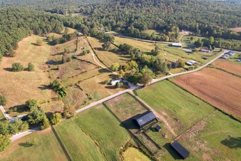 190 & 166 Pine Grove Road, Olympia, KY 40358 — photo 5