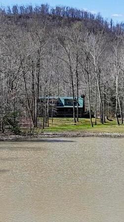 155 Chaneyville Road, Stanton, KY 40380 — photo 2
