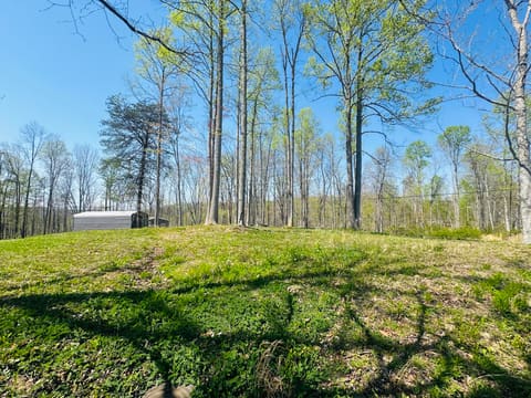 111 Sycamore Road, London, KY 40741 — photo 2