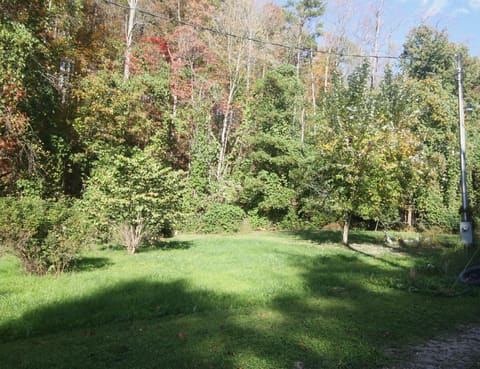 135 Kentucky 3445, McKee, KY 40447 — photo 3