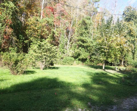 135 Kentucky 3445, McKee, KY 40447 — photo 4